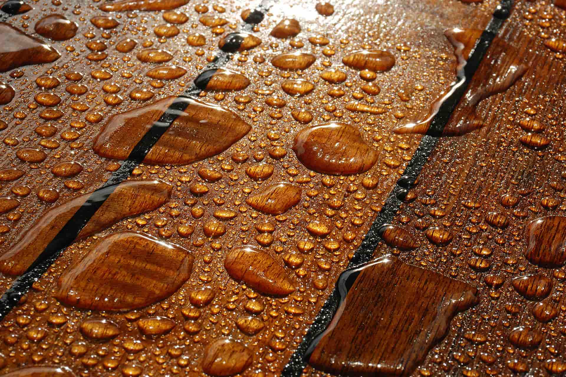 Soft washing experts